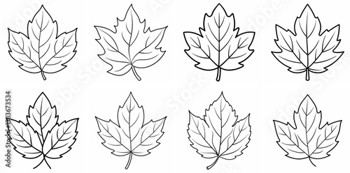 Autumn Leaves Outline Coloring Book Page Line Art Drawing Set White Background

