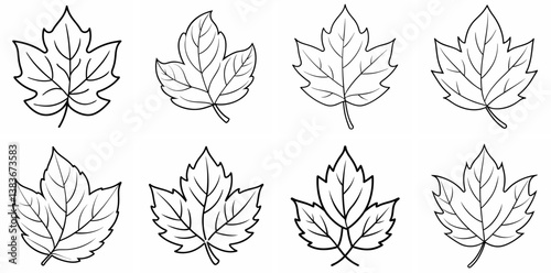 Autumn Leaves Outline Coloring Book Page Line Art Drawing Set White Background

