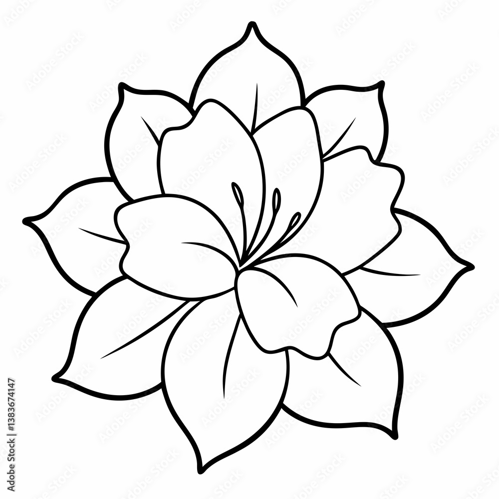 Fototapeta premium Azalea Flower Outline Coloring Book Page Line Art