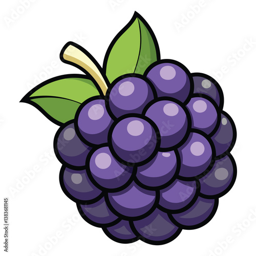 Blackberry vector in white background