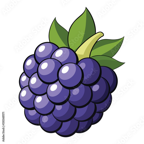 Blackberry vector in white background