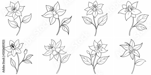 Columbine Outline Coloring Book Page Line Art Drawing Set White Background