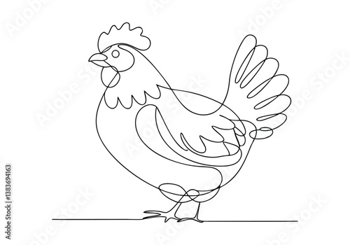 Continuous line drawing of a chicken, minimalist single-line vector illustration of a farm bird

