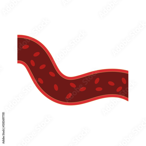 Normal blood vein artery. Blood  circulation in vessel. Vector illustration.