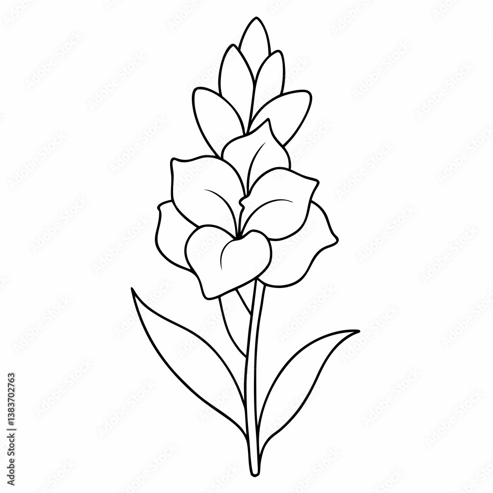 Obraz premium Gladiolus Flower Plant Outline Coloring Book Page