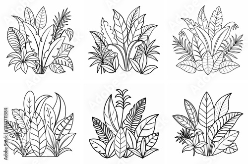 Jungle Foliage Outline Coloring Book Page Line Art photo