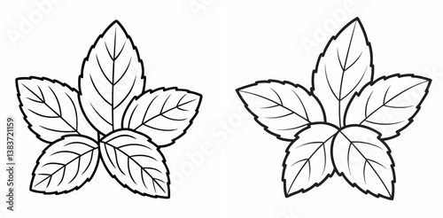 Mint Leaves Outline Vector – Line Art Drawing Set for Coloring Book Page on White Background