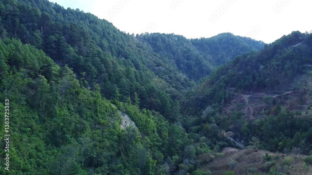 mountain landscape with trees mountain landscape with trees