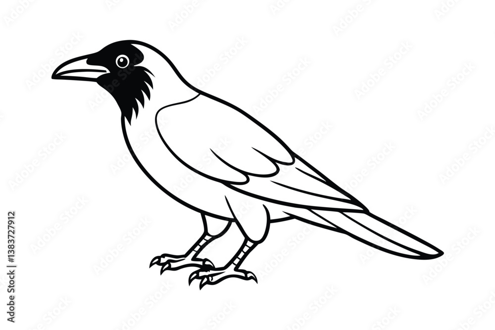 Fototapeta premium vector illustration of a crow bird