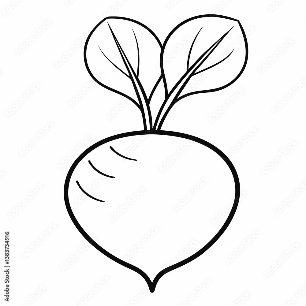 Radish Vegetable Outline Vector – Line Art Drawing for Coloring Book Page on White Background
Radish Vegetable Outline Vector – Line Art Drawing for Coloring Book Page on White Background