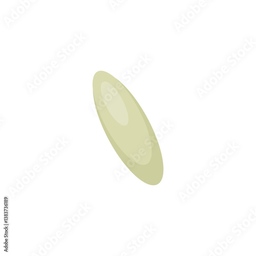 Bed bug eggs. Vector science Educational illustration.