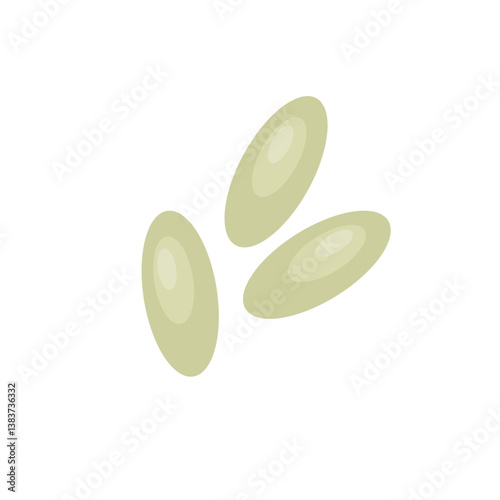 Bed bug eggs. Vector science Educational illustration.