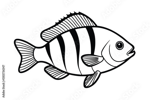 vector illustration of a bluegill fish