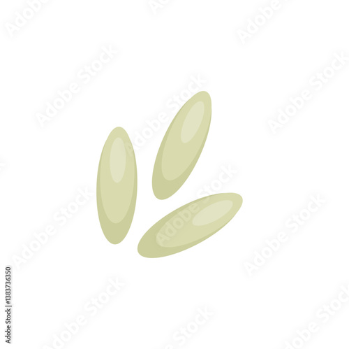 Bed bug eggs. Vector science Educational illustration.