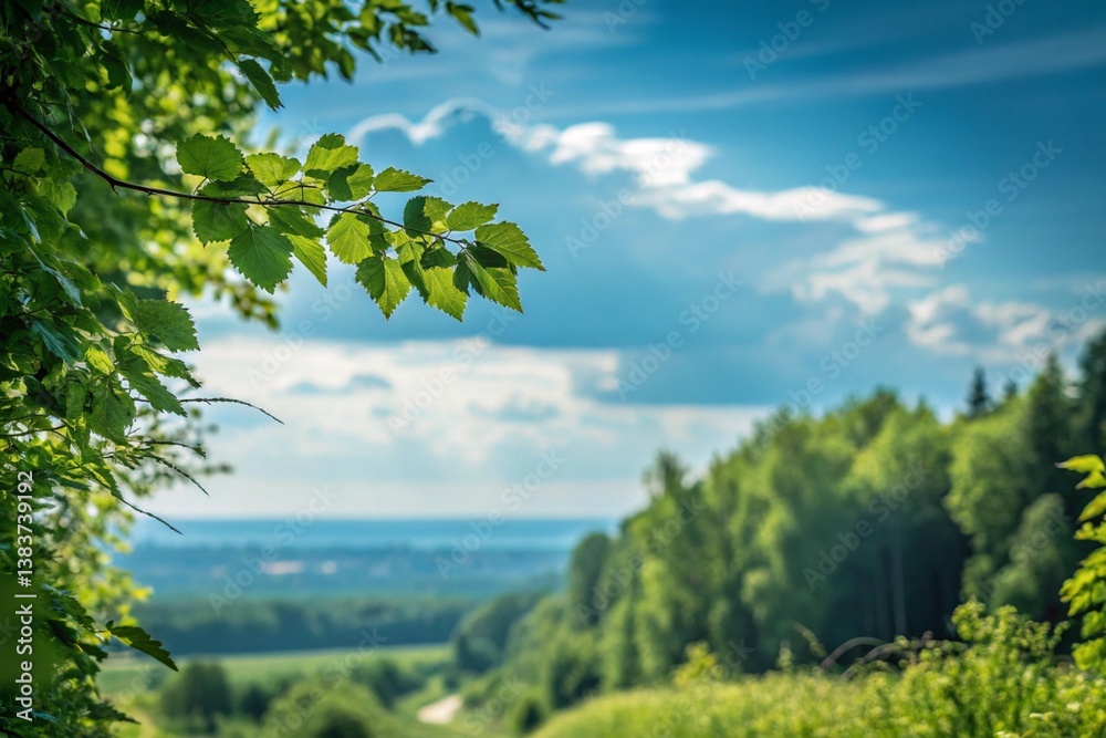 landscape with trees and blue sky landscape with trees and blue sky