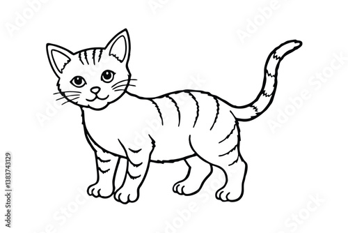 ginger kitten