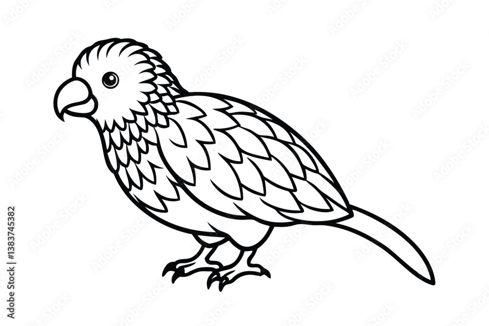 Fototapeta premium kakapo isolated on white background