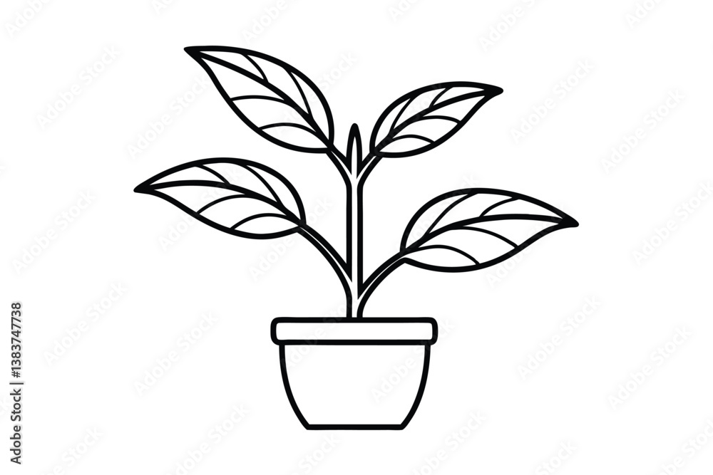 vector illustration of a plant