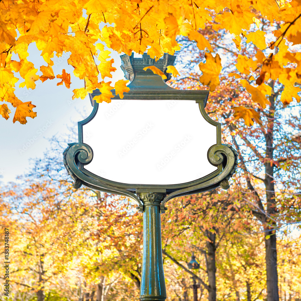 Empty sign board frame white isolated in with autumn fall leaves