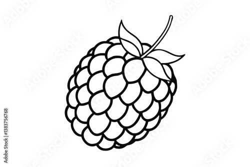 vector illustration of a -raspberry