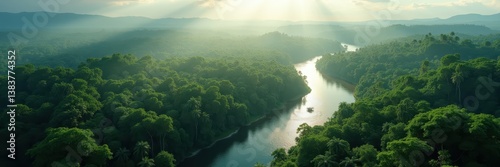 Lush Tropical Rainforest River with Sunlight