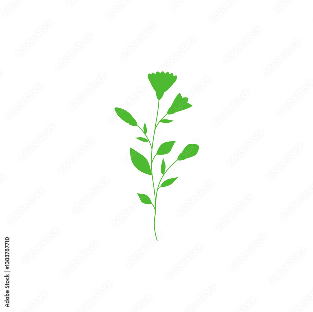 Fototapeta premium green branch with leaves