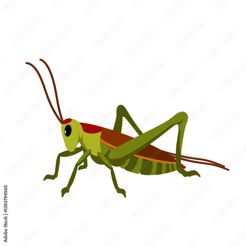 Fototapeta premium Colorful grasshopper illustrating nature on a white background 