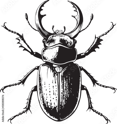 Stag beetle Black and White Vector Illustration, Sketch Drawing Line Linear Engraving, Hand-drawn Isolated