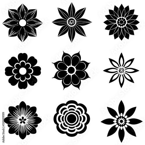 Floral Vector Silhouette Bundle With Isolated Background