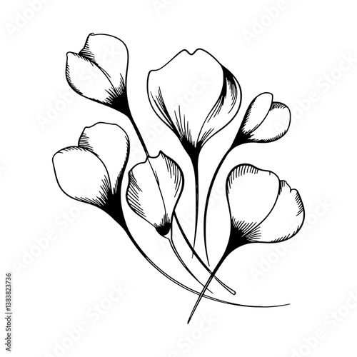 Floral Blossom Elements. Black-and-white contour illustrations of blooming flowers that add refinement to compositions.