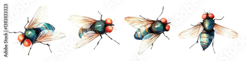 Set watercolor house fly insect pest parasite animals carriers diseases isolated on transparent background