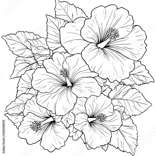 Hibiscus coloring book vector design, Hibiscus vector image