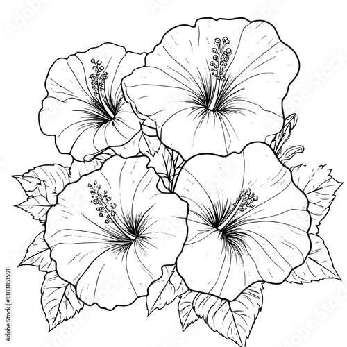 Hibiscus coloring book vector design, Hibiscus vector illustration