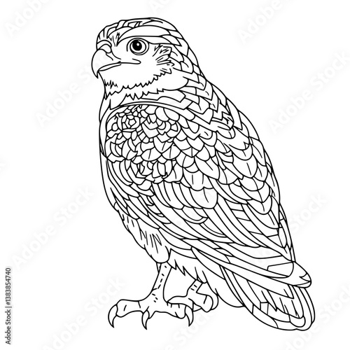 Falcon coloring book vector design, Falcon illustration art