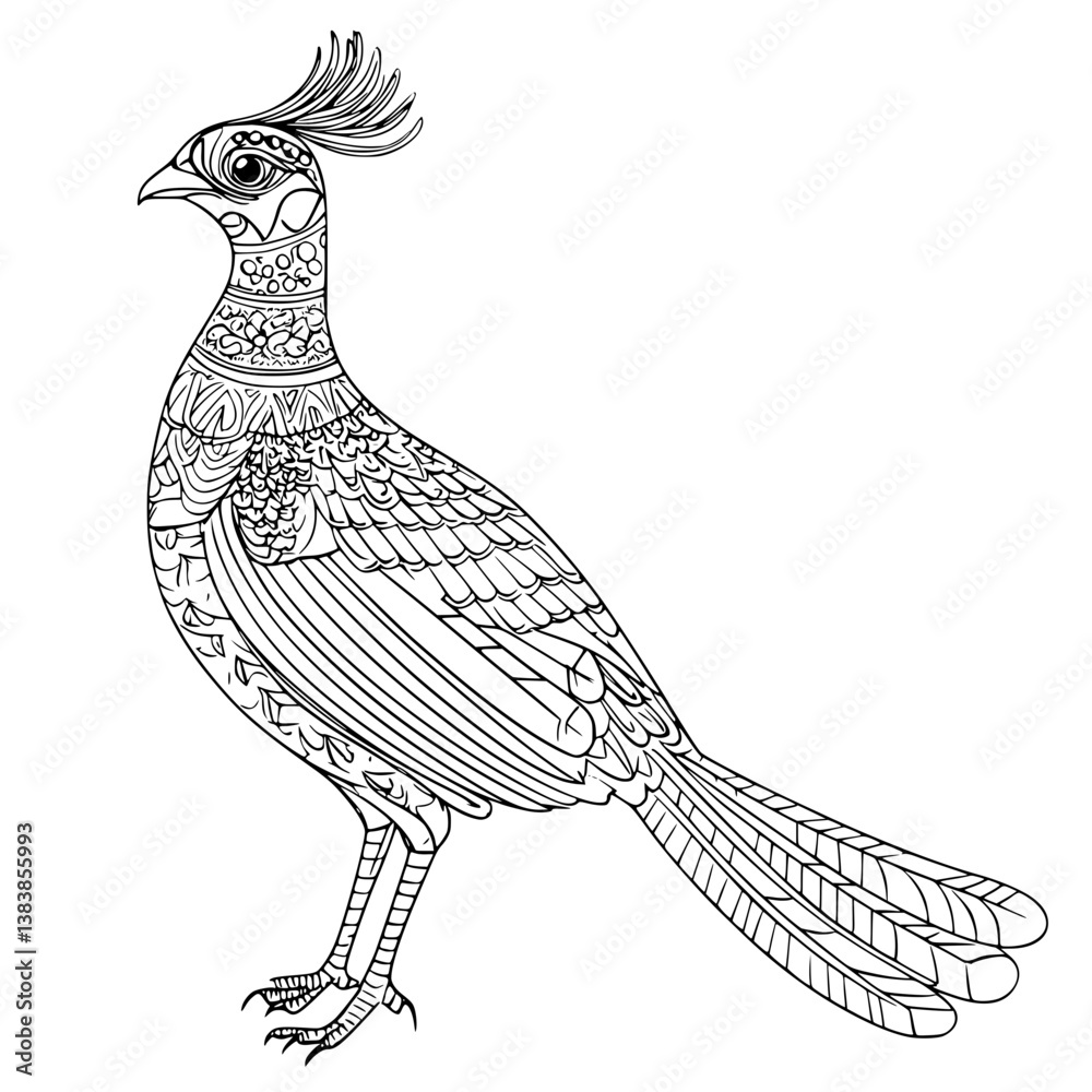 Obraz premium Pheasant coloring book vector design, Pheasant illustration art