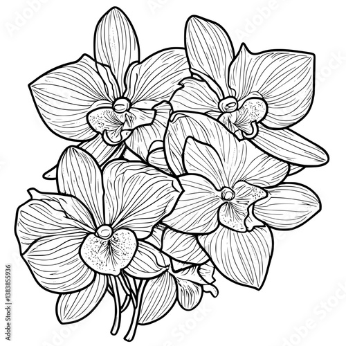 Orchid coloring book vector design, Orchid illustration art