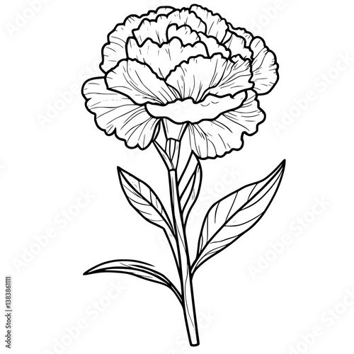 Carnation coloring book vector design, Carnation vector graphic