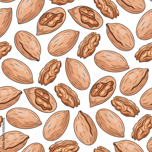 Seamless pattern with pecan nuts on white background, vector hand-drawn illustration