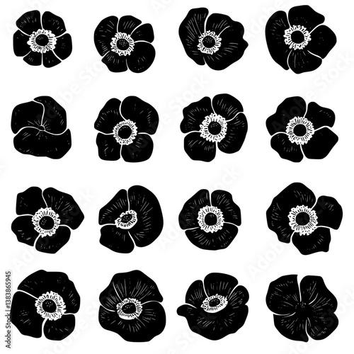 Collection of Anemones vector designs, Anemones vector image
