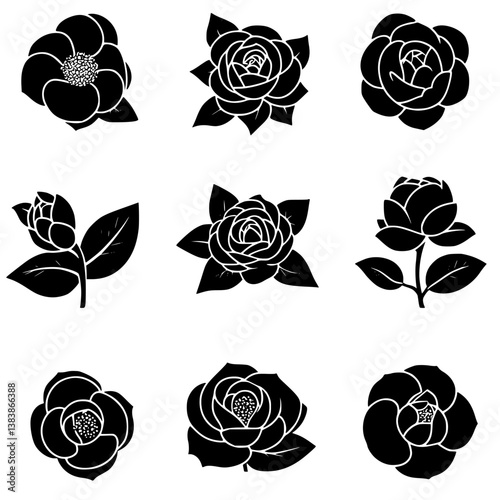 Collection of Camellias vector designs, Camellias vector image