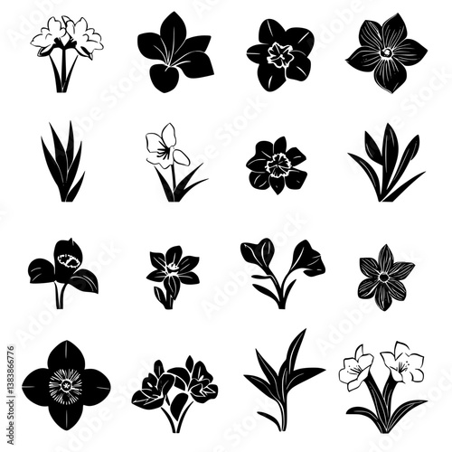 Collection of Daffodils vector designs, Daffodils vector image