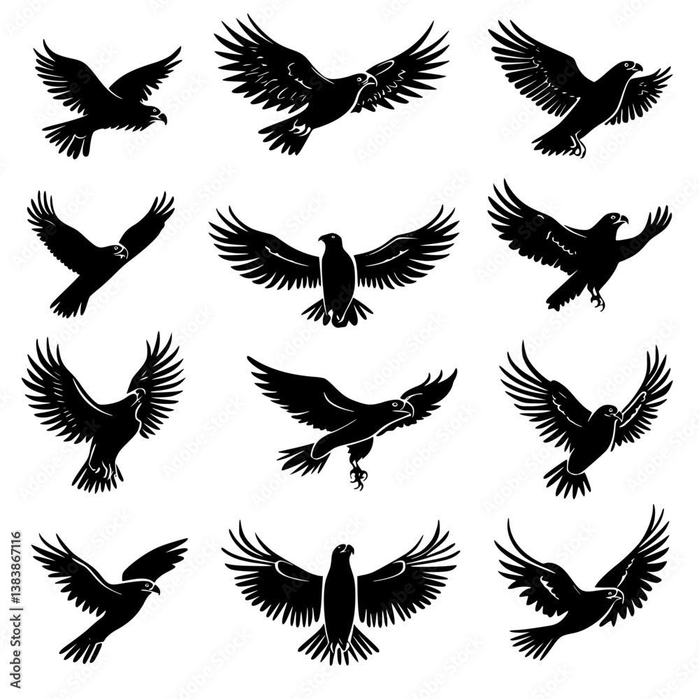 Obraz premium Collection of Eagles vector designs, Eagles vector image