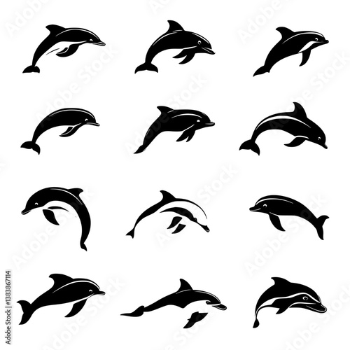 Collection of Dolphins vector designs, Dolphins vector image