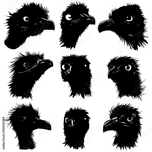 Collection of Emus vector designs, Emus vector image