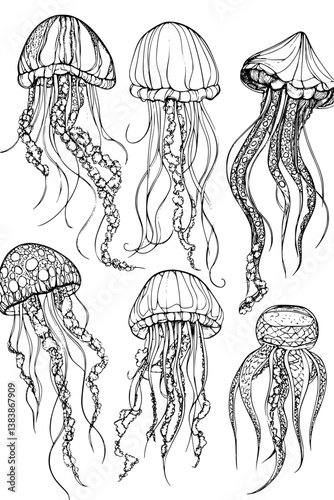 Collection of Jellyfish coloring book vectors, Jellyfish vector image