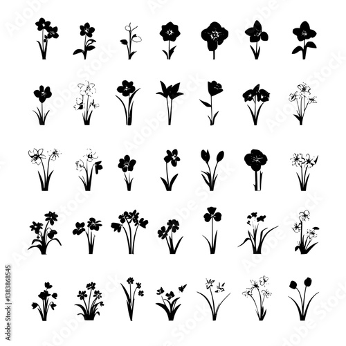 Collection of Narcissi vector designs, Narcissi vector image