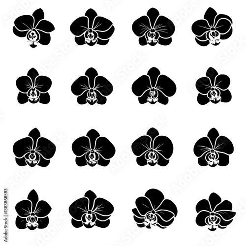 Collection of Orchids vector designs, Orchids vector image