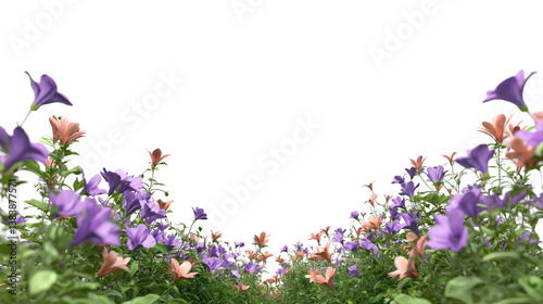 Flowers bushes full ornamental foreground isolate on transparent backgrounds	