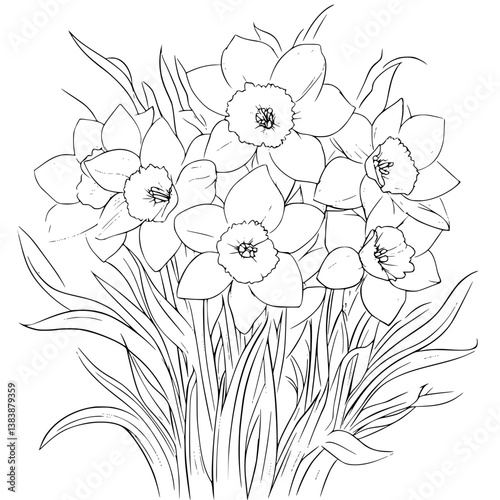 Collection of Daffodils coloring book vector designs, Daffodils illustration art