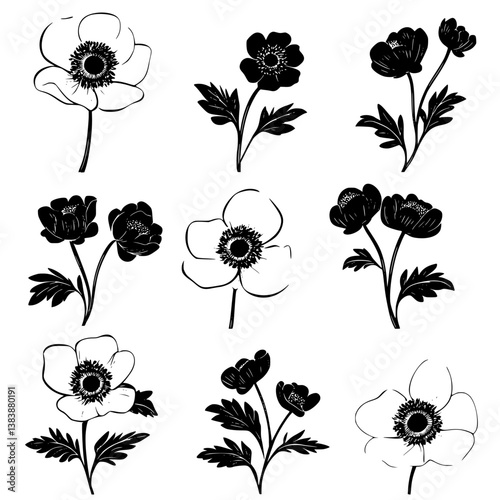 Collection of Anemones vector designs, Anemones illustration art